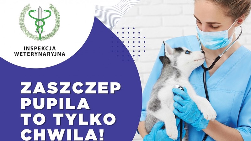 W lewym górnym rogu znajduje się logo Inspekcji weterynaryjnej. Pod swpodem napis na niebieskim tle (biała czcionka) "Zaszczep pupila, to tylko chwila". W prawej częśći obrazka znajduje się kobieta - lekarz weterynarii, wyposażona w stetoskop i trzymająca na rękach psa.